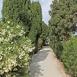 Molino Blanco *